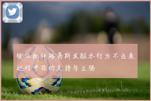 徐江批评路易斯泼脏水行为不当表达对申花的支持与立场