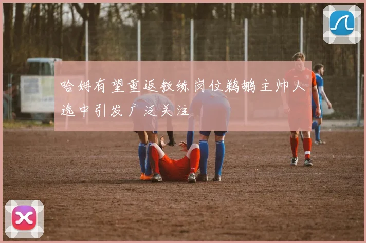 哈姆有望重返教练岗位鹈鹕主帅人选中引发广泛关注